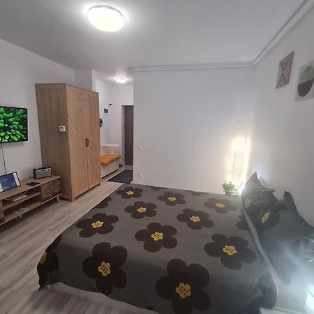 Siriului Studio 부쿠레슈티 외부 사진
