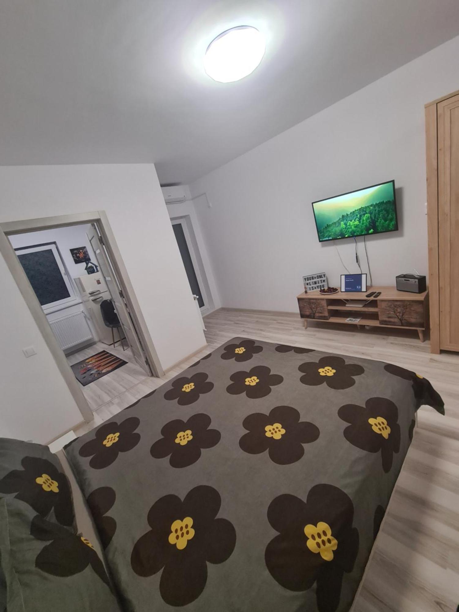 Siriului Studio 부쿠레슈티 외부 사진